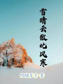 雪晴云散北风寒
