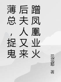 薄总,捉鬼后夫人又来蹭凤凰业火