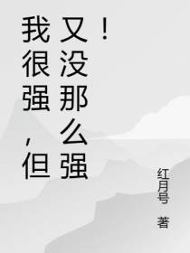 我很强,但又没那么强！