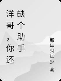 洋哥,你还缺个助手