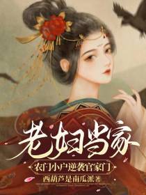 老妇当家,农门小户逆袭官家门