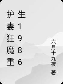 护妻狂魔重生1986