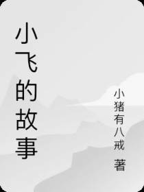 小飞的故事