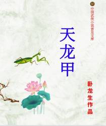 天龙甲