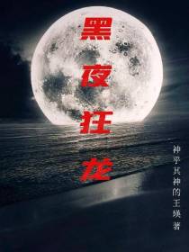 黑夜狂龙