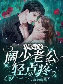 闪婚成宠,阔少老公轻点疼