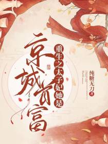 重生之太子妃她是京城首富