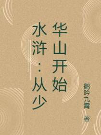 水浒：从少华山开始