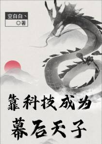 靠科技成为幕后天子