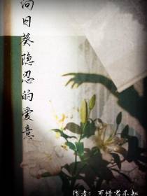 向日葵隐忍的爱意