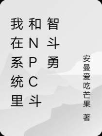 我在系统里和npc斗智斗勇