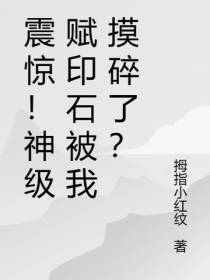 震惊！神级赋印石被我摸碎了？