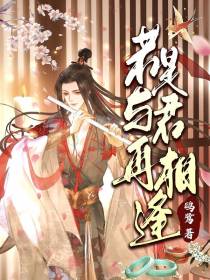 若是与君再相逢