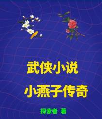 武侠小说小燕子传奇