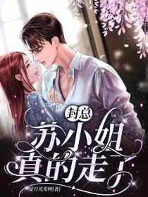 封总,苏小姐真的走了