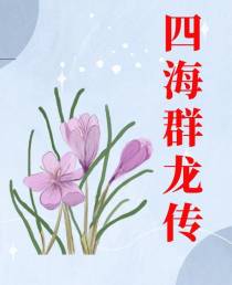 四海群龙传