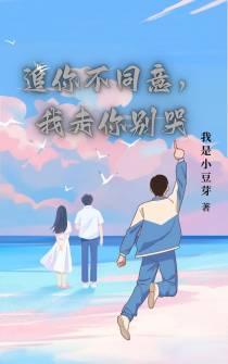 追你不同意,我走你别哭