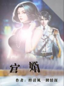 官婿