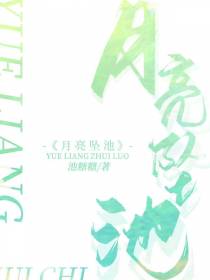 月亮坠池
