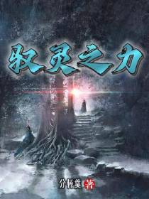 驭灵之力