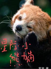 星际小熊猫