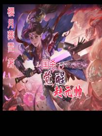 三国杀：觉醒赵元帅