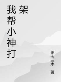 我帮小神打架