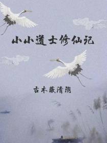 小小道士修仙记
