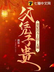 贵妃宫斗上位,太傅父凭子贵