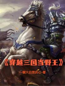 穿越三国当野王