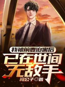 我被前妻迫害后,已在世间无敌手