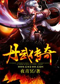 丹武传奇