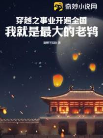 穿越之事业开遍全国,我就是最大的老鸨！