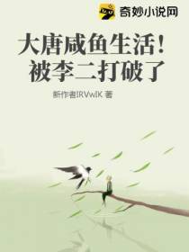 大唐咸鱼生活！被李二打破了