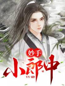 妙手小郎中