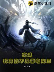 高武：我真的不是雷电法王