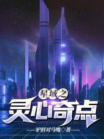 星域之灵心奇点