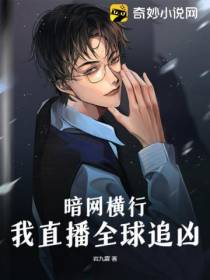 暗网横行,我直播全球追凶