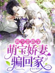 顾少套路深,萌宝娇妻骗回家