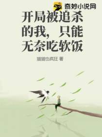 开局被追杀的我,只能无奈吃软饭