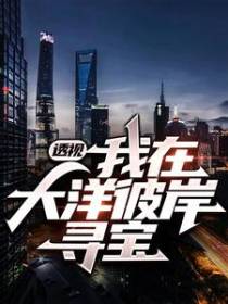 透视：我在大洋彼岸寻宝
