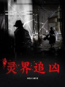 灵界追凶