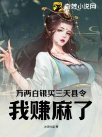 万两白银买三天县令,我赚麻了