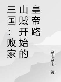 三国：败家山贼开始的皇帝路