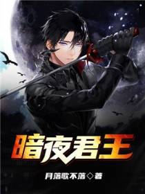 暗夜君王