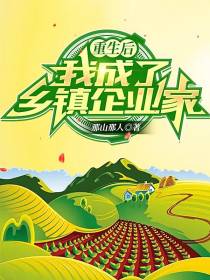 重生后,我成了乡镇企业家