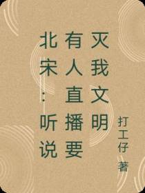 北宋：听说有人直播要灭我文明