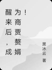 醒来后,成为商贾赘婿！