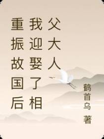 重振故国后我迎娶了相父大人