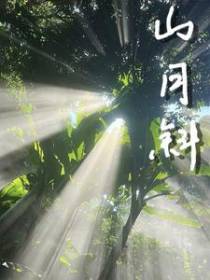 山月斜